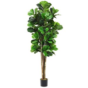 Arbusto Real - Planta Artificial Decorativa Arbol Grande Ficus Lyrata 180C