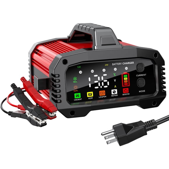 Cargador de Batería KAEKAT 25A 12V/24V LiFePO4 para Vehículos