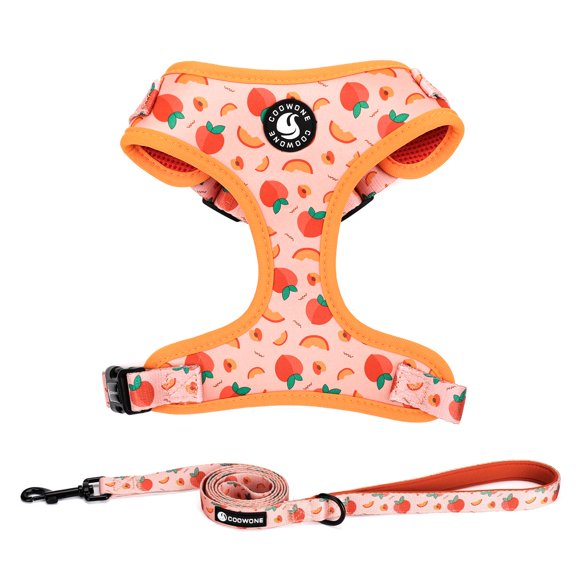 Set de Arnés y Correa COOWONE para Perro, Sin Tirón, Talla Pequeña/Mediana