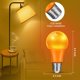 thumbnail image 3 of Bombilla LED LKQH 9W (60W) Naranja E26 110-130V, 3 of 7