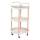 thumbnail image 1 of Carro Almacenamiento Multiusos Rodante Servicio Cocina Jhn, 1 of 3