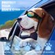 thumbnail image 5 of Gafas de sol para perros QUMY, protección contra viento, polvo y niebla, 5 of 7