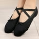 thumbnail image 4 of Zapatillas de ballet suaves de lona para niños y adultos, zapatillas de gimnasia para bailar, 4 of 5