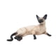 thumbnail image 1 of Figura De Gato En Miniatura, Juguete De Simulación, Estatua Realista De Gato Acostado, 11,6 X 7 X 5,1 Cm, 1 of 5