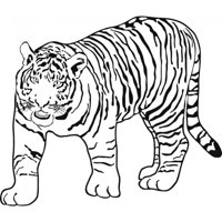 Rienda Libre Graphics - Decomural Prowling Tiger Jungle Animals Ws-18787