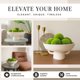 thumbnail image 3 of Juego de cuencos decorativos Laurel and Vine Santorini con 6 bolas de musgo, 3 of 9