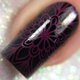 thumbnail image 4 of Esmalte de Uñas Twinkled T Passionfruit Granate Opaco, 4 of 5