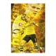 thumbnail image 5 of Erling Haaland -bandera de jardín temática. Regalo perfecto para fans, amigos y familiares, ideal para actividades al aire libre y decoración de fiestas. 32*47CM, 5 of 6
