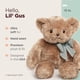 thumbnail image 2 of Oso de peluche Bearington Baby Gus The Brown, 33 cm, 2 of 6