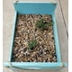 thumbnail image 5 of River Rock Stones Voulosimi, 5,4 kg, decoración natural pulida, 5 of 7