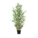 thumbnail image 1 of Planta Artificial Bamboo Mini 182 Cm, 1 of 1