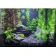thumbnail image 3 of Piedras de pizarra Small World 20‑25 cm 3,6‑4,1 kg para acuario y reptiles, 3 of 9