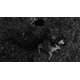 thumbnail image 2 of Película The Criterion Collection – Dead Man 4K UHD, 2 of 4