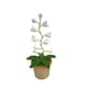 thumbnail image 1 of Lily De La Lámpara Del Valle Ganchillo Flores Artificiales Con Luces Nocturnas Lámpara De Mesa Inalámbrica Ideas De Regalo De Las Mujeres Para Navidad San Valentín Día De La Madre Escri, 1 of 3