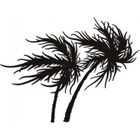 Rienda Libre Graphics - Decomural Palm Trees Tropical Ws-18573