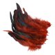 thumbnail image 3 of 50 Uds. De Plumas Para Manualidades, Decoraciones Para Bodas, Fabricación De Joyas, Café, 3 of 5