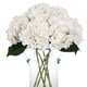 thumbnail image 1 of Ramos de flores de hortensia de seda artificial, 6 unidades, color blanco, 1 of 9