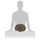thumbnail image 3 of Plato de comida Reptile Rock Zoo Med, XL, irrompible, 3 of 3