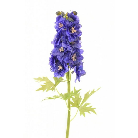 Delphinium Azul 94cm Con Textura Realista