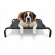 thumbnail image 2 of Cama Mascota Catrex L Estructura de Acero Malla Transpirable, 2 of 3