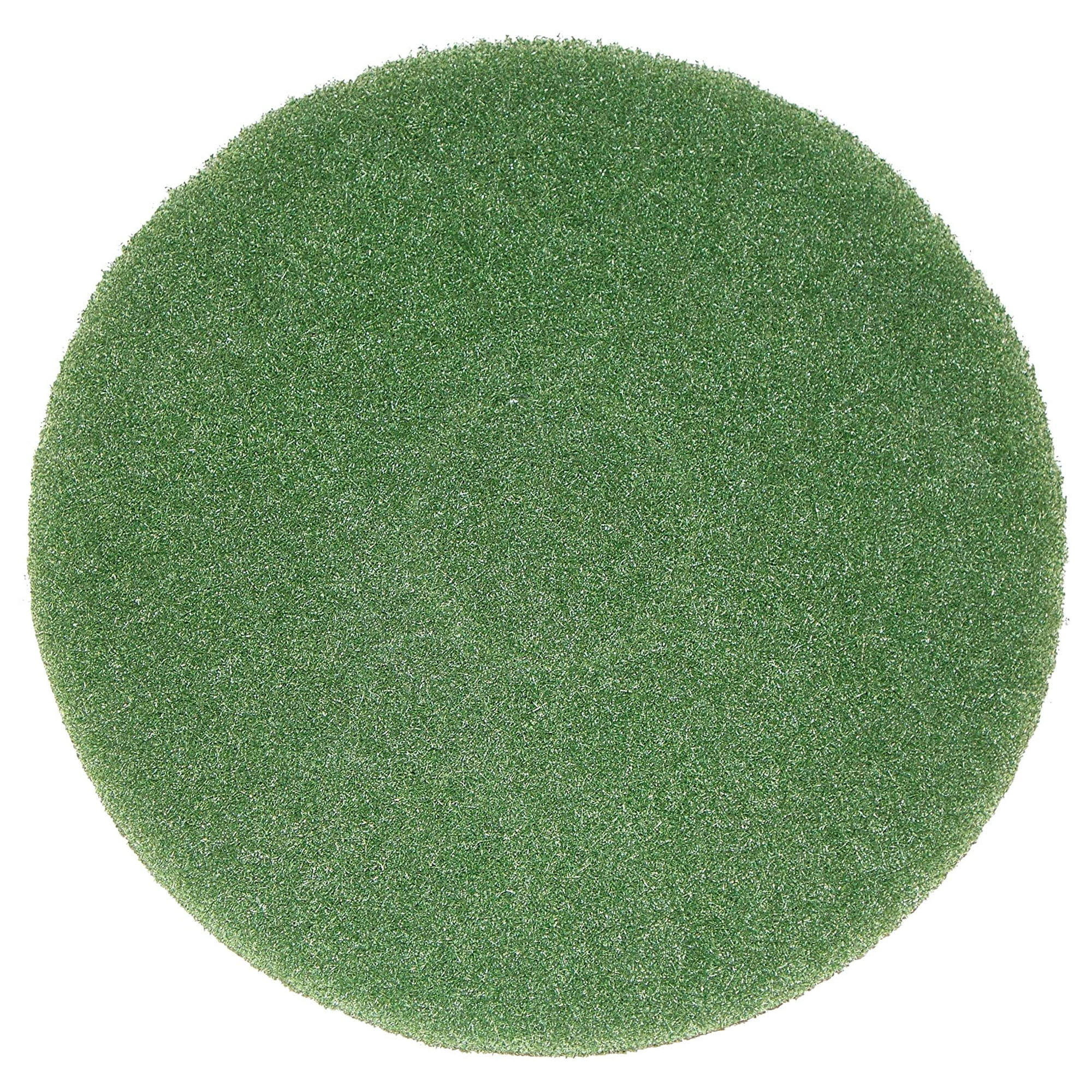 Bissell - Almohadilla Limpiadora Biggreen Commercial 437 056bg Para Bgem9000
