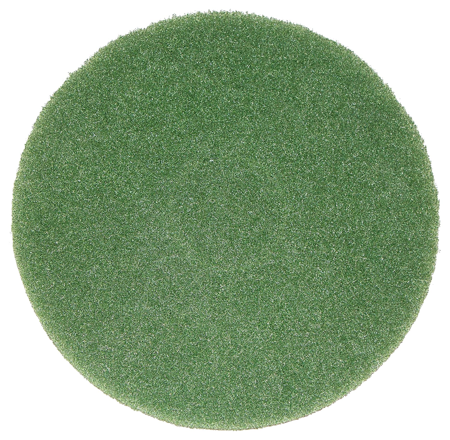 Bissell - Almohadilla Limpiadora Biggreen Commercial 437 056Bg Para Bgem9000