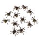 thumbnail image 1 of Lot 12 Animales Vivos Del Modelo Del Insecto De La Ara?a Del Pvc Embroma Multicolors De Los Juguetes, 1 of 4