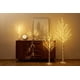 thumbnail image 3 of Guirnalda de abedul iluminada LITBLOOM, 1,8 m, 48 LED, funciona con pilas, 3 of 6