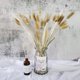 thumbnail image 4 of 90 piezas de ovatus secos naturales, colas de conejo secas de pampas para arreglos florales, decoración de bodas y hogar., 4 of 7