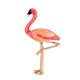 thumbnail image 4 of Mujeres Ni?as Esmalte Flamingo Bird Broche Pin Animal Bird Jewelry Rojo, 4 of 5