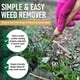 thumbnail image 4 of Herramienta deshierbadora manual Grampa's Weeder, ligera y duradera, 4 of 6