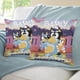 thumbnail image 3 of Bluey Fundas de almohada de terciopelo con tema, regalos de funda de almohada, decoración para el hogar, cojín de lanzar, regalo de cumpleaños para fans y parejas. 40cm x 40cm., 3 of 6