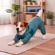 thumbnail image 4 of Sudadera tipo tracksuit para perro Pet Life 'Namastail' ligera, 4 of 9