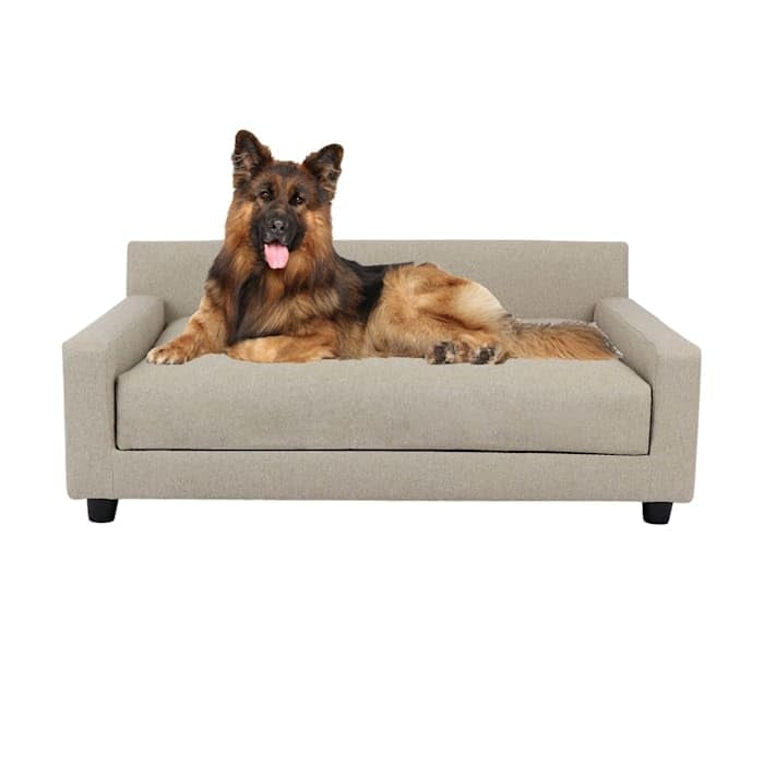 Cama Para Perros Club Nine Pets Metro, Ortopédica, Avena, Tamaño Mediano