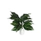 thumbnail image 2 of Ramo Zebra Uv 56cm Artificial, 2 of 3