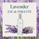 thumbnail image 2 of Eau de Toilette Provence Sante con aroma a lavanda, 100 ml, 2 of 7