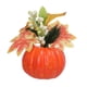 thumbnail image 4 of Adorno De Calabazas Artificiales Fotografía Prop Para El Estilo De Decoración De Acción De Gracias E, 4 of 5