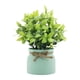 thumbnail image 4 of Pequeñas Plantas Falsas Decorativas Bonsái Artificiales Para Oficina Baño Granja Verde, 4 of 5