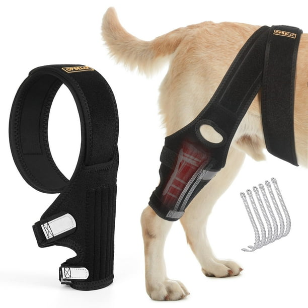 Rodillera para perros OPSELU para desgarro del ligamento cruzado anterior, pata trasera, roja (L)