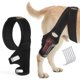 thumbnail image 1 of Rodillera para perros OPSELU para desgarro del ligamento cruzado anterior, pata trasera, roja (L), 1 of 3