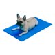 thumbnail image 1 of Manta Refrescante Refrigerante para Perros 40x50 Talla S, 1 of 2