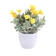 thumbnail image 1 of Florero Vidrio 7*12Cm, 1 of 2