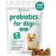 thumbnail image 1 of Microingredientes masticables probióticos para perros 240 unidades, 1 of 7