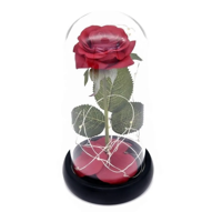 Genérico - Cúpula Vidrio Rosa 21 Luces Led