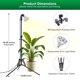 thumbnail image 5 of Luz De Cultivo 40w De Espectro Completo Con Trípode Ajustable, 5 of 8