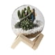 thumbnail image 3 of Maceta De Cristal Con Adornos Florales, Maceta Creativa Para Jardín Al Aire Libre, Hotel, 10cm, 3 of 5