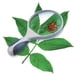 thumbnail image 1 of Lupa 2X 3X 4X 100 mm., 1 of 2