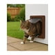 thumbnail image 2 of Puerta para Gatos con Cierre | 25x23 cm Marco Exterior, 2 of 5