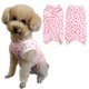 thumbnail image 1 of Traje de recuperación quirúrgica para perro Paipeper para cachorro, perro pequeño, 1 of 6