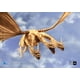 thumbnail image 5 of Figura de acción Hiya Toys Godzilla contra el rey Ghidorah, 33 cm, 5 of 9